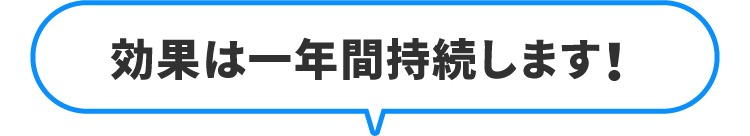 効果は一年間持続します！