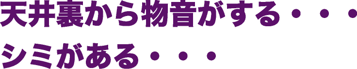 天井裏から物音がする・・・シミがある・・・