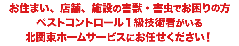 お住まい、店舗、施設の害獣・害虫でお困りの方 ペストコントロール1級技術者がいる北関東ホームサービスにお任せください!